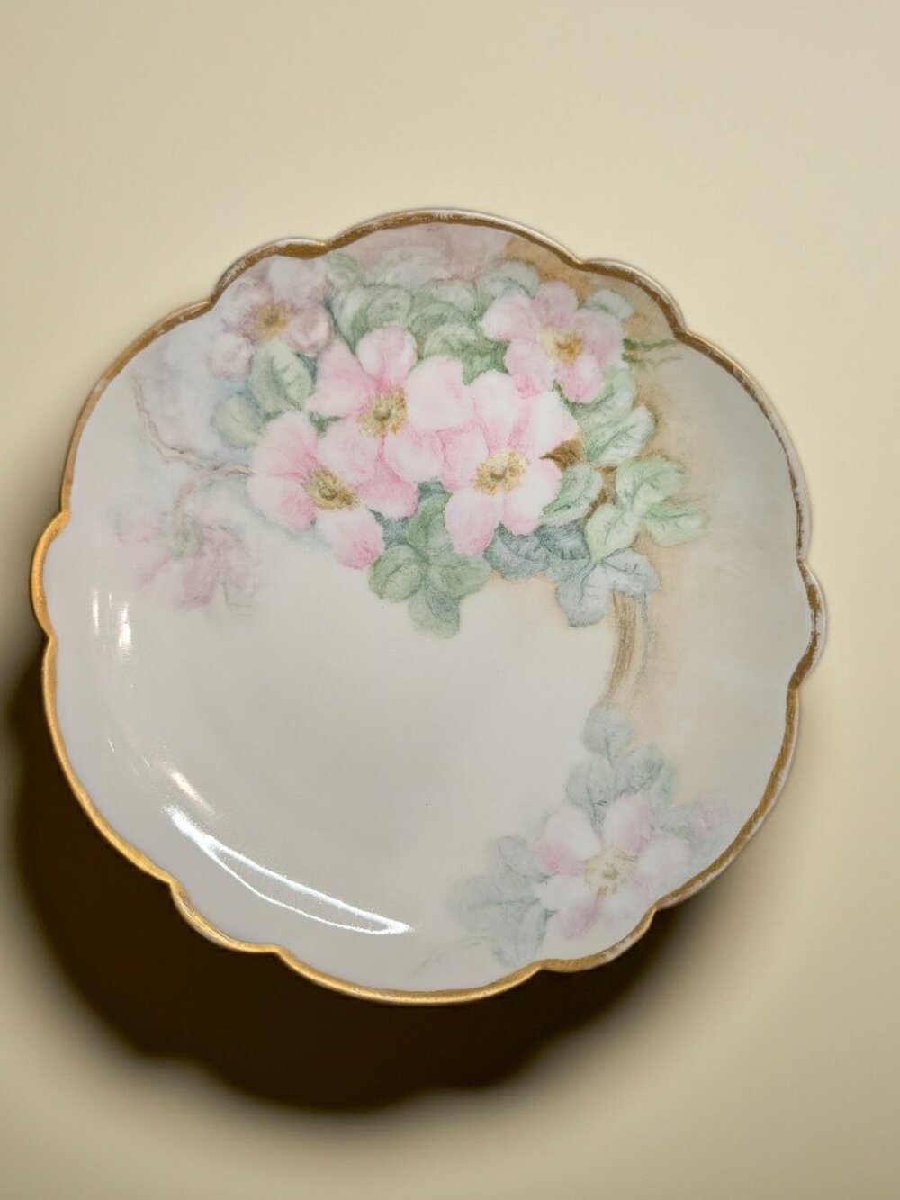 Antique La Seynie Limoges Hand Painted Wild‎ Rose Plate